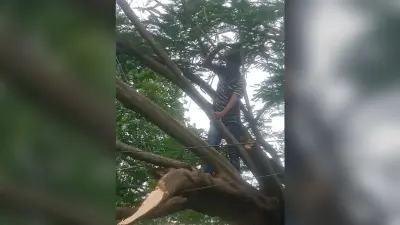 आंधी-बारिश से बेपटरी हुई बिजली व्यवस्था, दूसरे दिन भी अधिकांश मुहल्लों में छाया अंधेरा