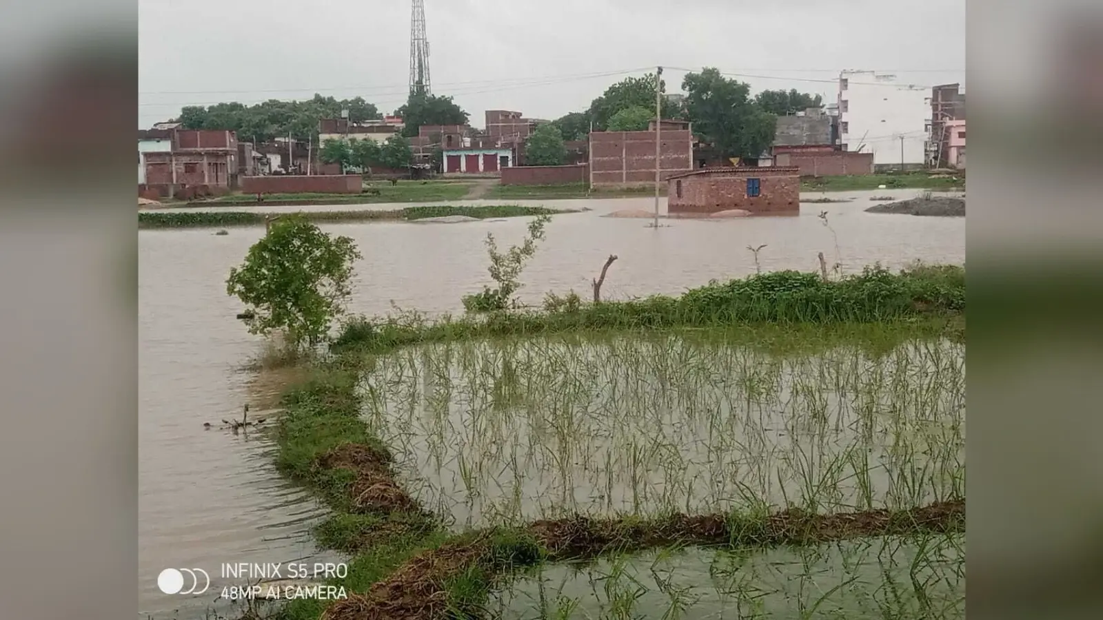 तुतराही नदी में आयी बाढ़ से फारुखगंज का इलाका जलमग्न