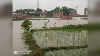 तुतराही नदी में आयी बाढ़ से फारुखगंज का इलाका जलमग्न