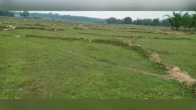 मुरलीपहाड़ी क्षेत्र में बारिश के अभाव में धनरोपनी प्रभावित