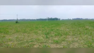कड़ी धूप से प्रभावित होने लगी है मकई की फसल, चिंतित किसान