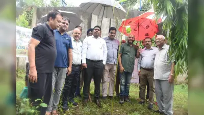 हर व्यक्ति को जीवन में कम से कम एक पौधा जरूर लगाना चाहिए : सबा आलम अंसारी