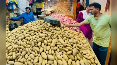 राउरकेला : अब उत्तर प्रदेश के आलू से स्मार्ट सिटी में पूरी की जा रही मांग