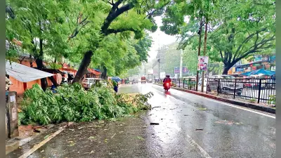बारिश के बीच राजधानी के कई इलाकों में घंटों गुल रही बिजली