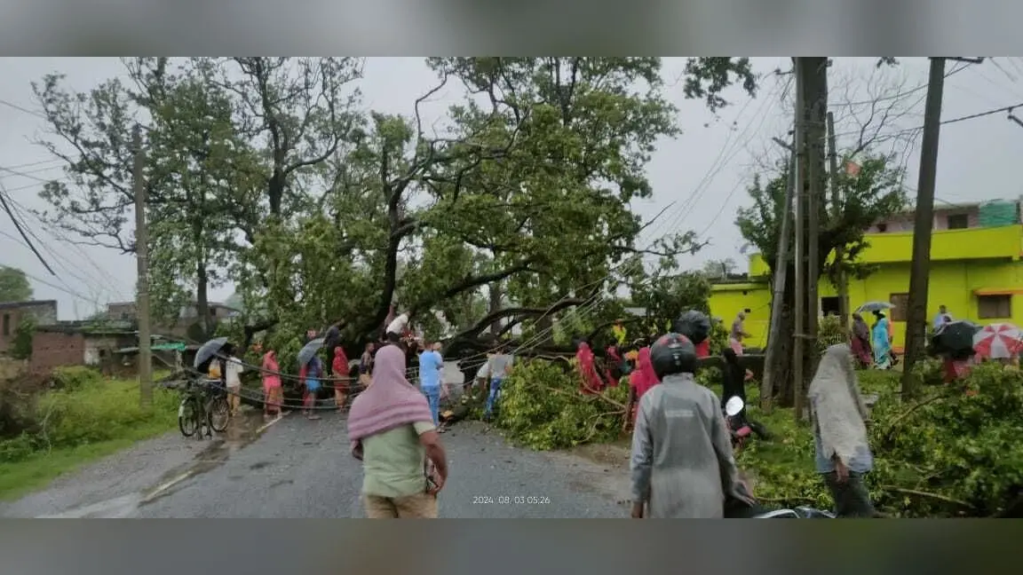 ट्रैक्टर से लूट ले गये इमारती लकड़ियां