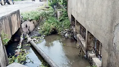 दखल से नाले में बदल गयी है सिंघारन नदी