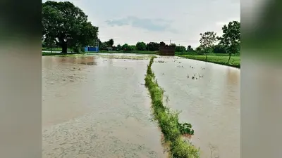 इंतजार के बाद हुई बारिश, तो झूम उठी धरती, खुश हो उठे किसान