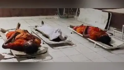 मनिहारी में सड़क हादसे में कावंरिया की मौत से बेला गोविंद में शोक