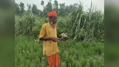 गन्ने के खेत में मिली मानव खोपड़ी व हड्डी