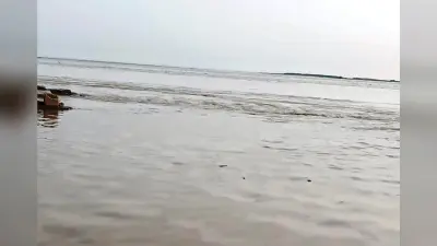 बाढ़ की तैयारियों में लापरवाही पर होगी कड़ी कार्रवाई : डीएम