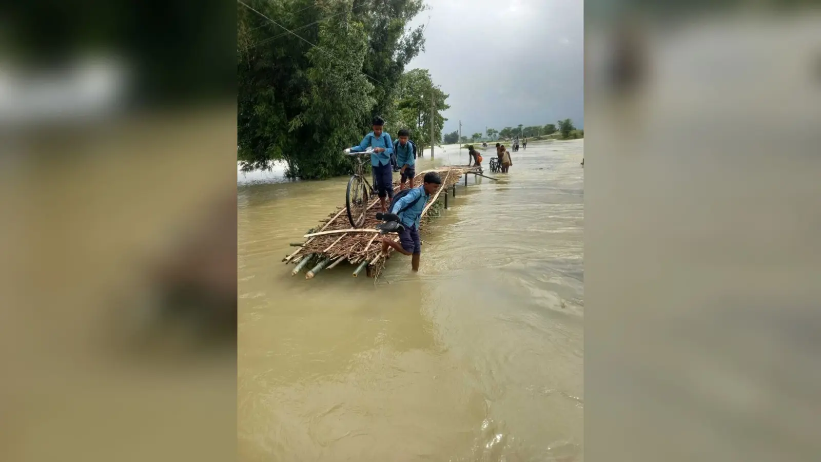 Flood Impact on Agriculture: नेपाल की लगातार बारिश से नूना नदी उफान पर, सिकटी में धान की फसल पर मंडराया खतरा