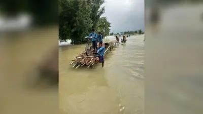 Flood Impact on Agriculture: नेपाल की लगातार बारिश से नूना नदी उफान पर, सिकटी में धान की फसल पर मंडराया खतरा