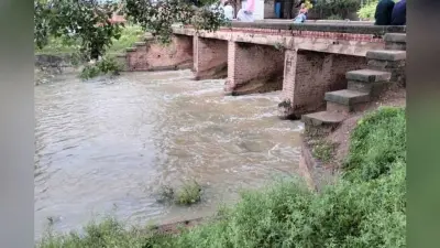 मोरहर नहर में पानी आने से धान की रोपनी तेज