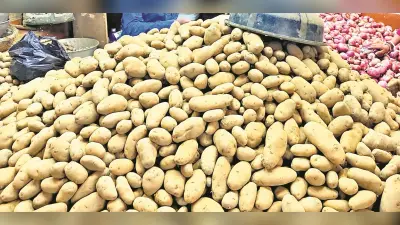 ओडिशा में आलू संकट : 100 रुपये में तीन किलो आलू बेचेगी राज्य सरकार