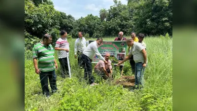 पेड़ मां के नाम के तहत पौधारोपण