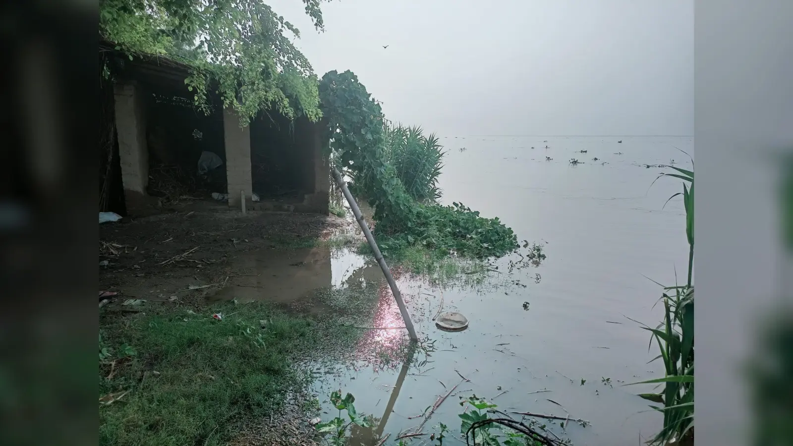 सिंघिया पंचायत की कई स्थानों पर गंगा के जलस्तर में वृद्धि से बढ़ा पानी का दबाव