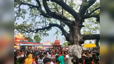 रात्रि दो बजे ही खुला सोमेश्वरनाथ महादेव का पट