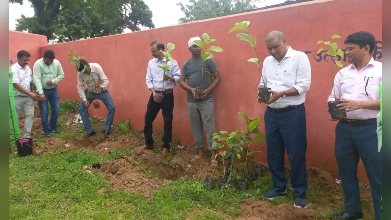 पर्यावरण संतुलन के लिए पौधरोपण करना जरूरी: डीडीसी