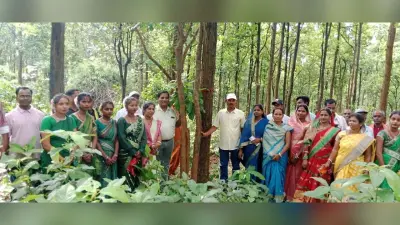 पेड़ों को बांधा रक्षा सूत्र, जंगल बचाने का संकल्प