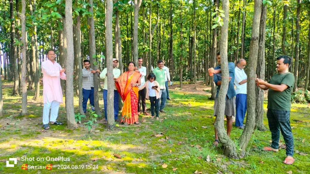 रक्षाबंधन पर सखुआ पेड़ों की सुरक्षा की ली जिम्मेदारी