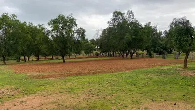 चेंगरबासा में जंगल की जमीन पर किया जा रहा है कब्जा