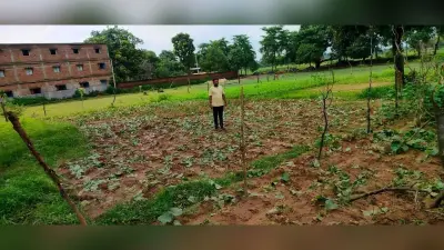 23 हाथियों के आतंक से रतजगा कर रहे हैं ग्रामीण