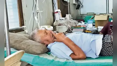 पंचदेवरी के मोतीपुर में डेंगू से 25 से अधिक लोग हुए पीड़ित, दहशत