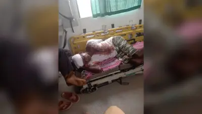 आपसी विवाद में हुई मारपीट में दो लोग जख्मी