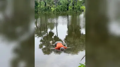 प्रमुख : घर के पीछे गड्ढे में डूबने से अधेड़ की मौत