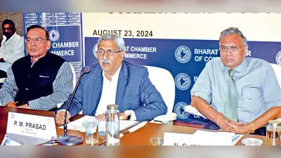 भारत व विदेशों में महत्वपूर्ण खनिजों के अधिग्रहण के लिए कोल इंडिया प्रयासरत : चेयरमैन