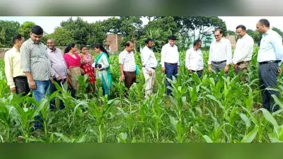 खरीफ फसलों में मड़वा की खेती से किसानों को जोड़ने की जरूरत : निदेशक