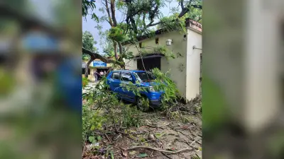 टीएमबीयू परिसर में दो पेड़ गिरे, भवन क्षतिग्रस्त