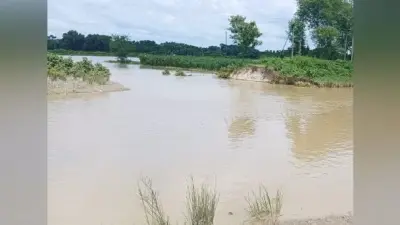 आरडी बड़ी नहर का बांध टूटने से 150 किसानों की 200 एकड़ फसल डूबी