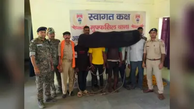 पपरवाटांड़ में हुई चोरी के मामले में सात गिरफ्तार, कई सामग्री बरामद