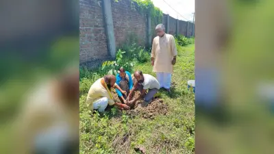 मेजर ध्यानचंद के जन्मदिवस पर आरएसएस कार्यकर्ताओं ने किया पौधरोपण