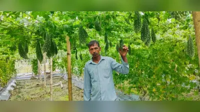 दो एकड़ सब्जी की खेती से प्रतिदिन पांच से आठ हजार तक की कमाई