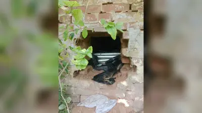 भगत सिंह चौक के समीप इलेक्ट्रॉनिक्स गोदाम में दिनदहाड़े चोरी