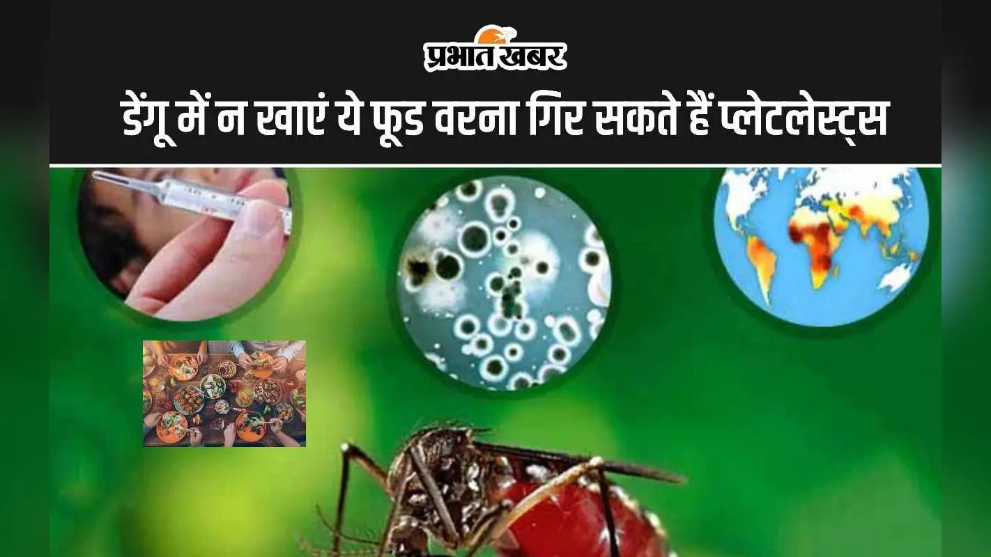 Foods to Avoid in Dengue: डेंगू बुखार में क्या खाने से प्लेटलेट्स गिरती है? जानिए डेंगू में कौन सी फूड खाने से अवॉइड करना चाहिए