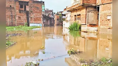 तौफिल और अंठावन गांव में संकट, कई घर और विद्यालय भवन गंगा में समाने की कगार पर
