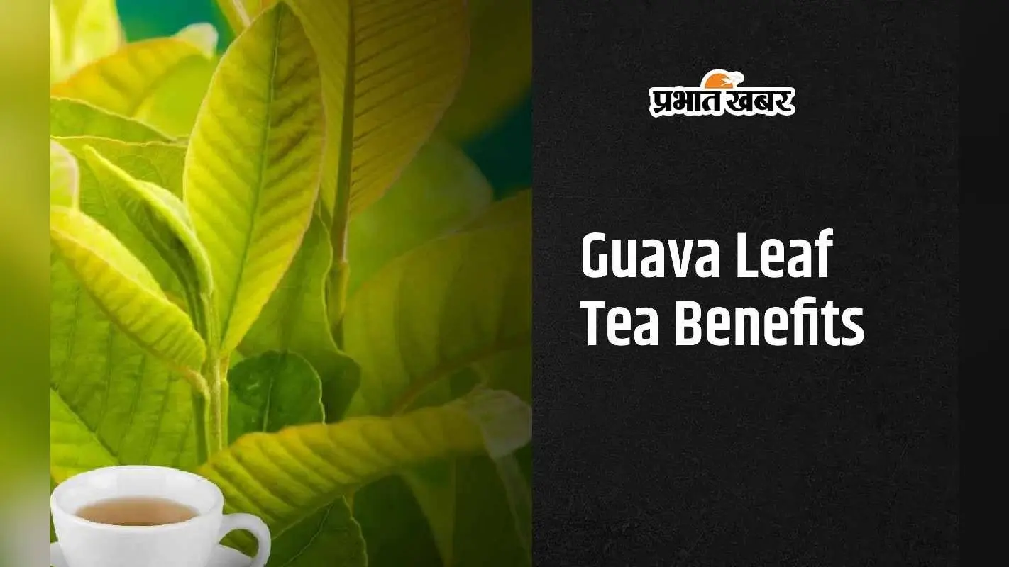 Guava Leaf Tea Benefits: अमरूद के पत्ते की चाय पीने से क्या फायदा होता है?