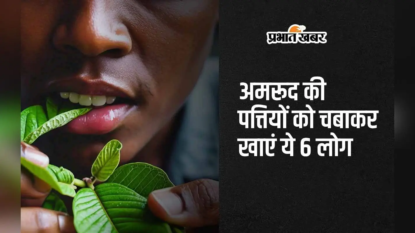 Guava Leaves Benefits: केवल इन 6 लोगों को ही अमरूद की पत्तियों को चबाकर खाना चाहिए?