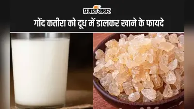 Gum Katira and Milk: गोंद कतीरा को दूध में डालकर खाने के 5 सबसे अद्भुत फायदे