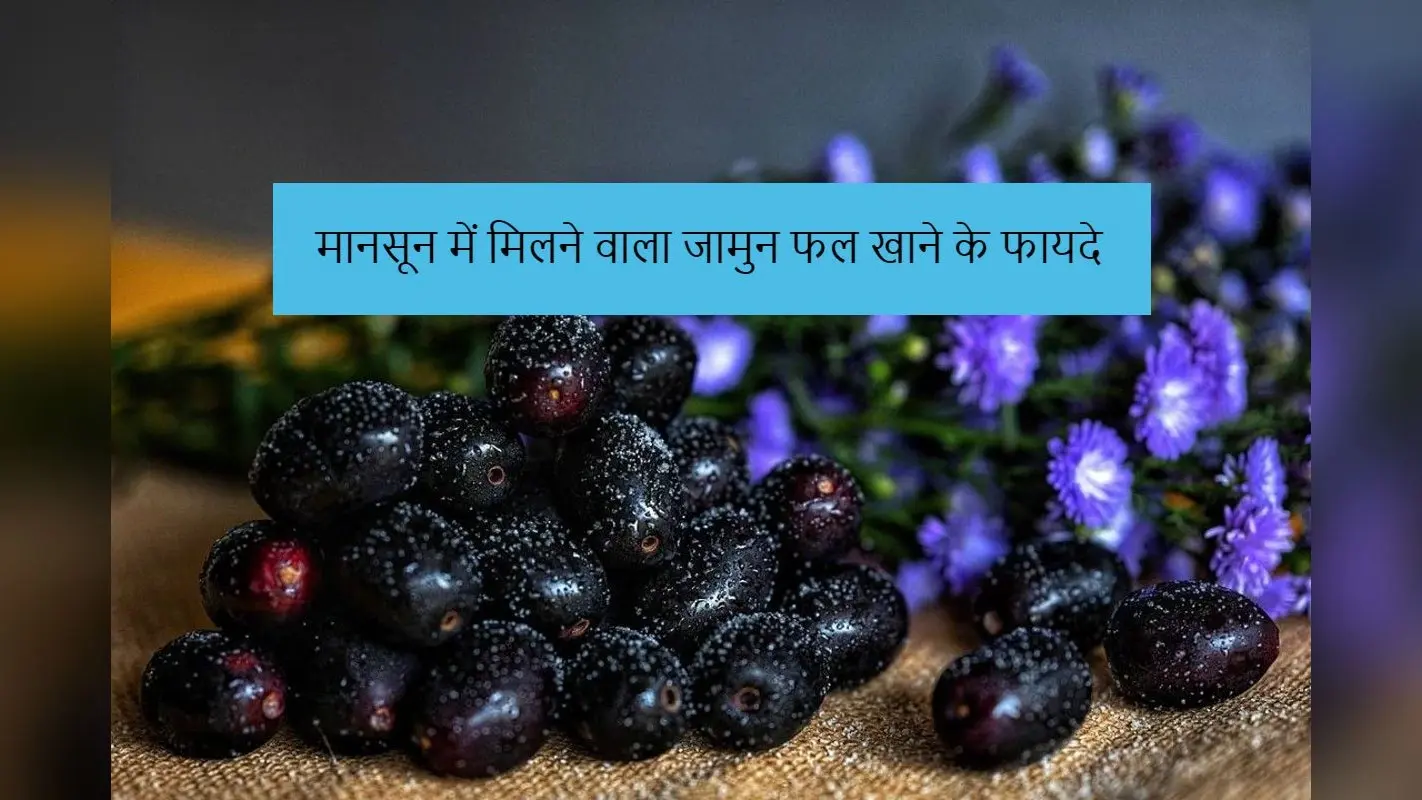 Jamun Fruit: मानसून में मिलने वाला जामुन फल खाने के ये हैं गजब के फायदे