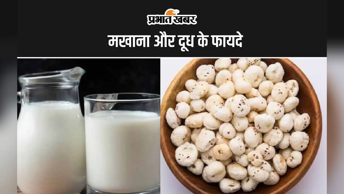 Makhana with Milk Benefits: मखाना और दूध खाने के ये हैं 6 लाभ