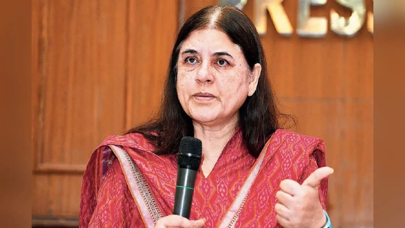 Birthday: मेनका गांधी का जन्मदिन आज, राजीव गांधी के खिलाफ अमेठी में लड़ा था पहला लोकसभा चुनाव