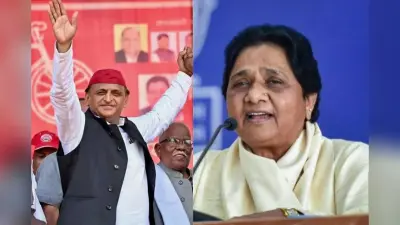 झारखंड में इस राष्ट्रीय पार्टी समेत कई दलों को मिले नोटा से भी कम वोट, जानें ओवैसी की पार्टी ने कितने जुटाए वोट