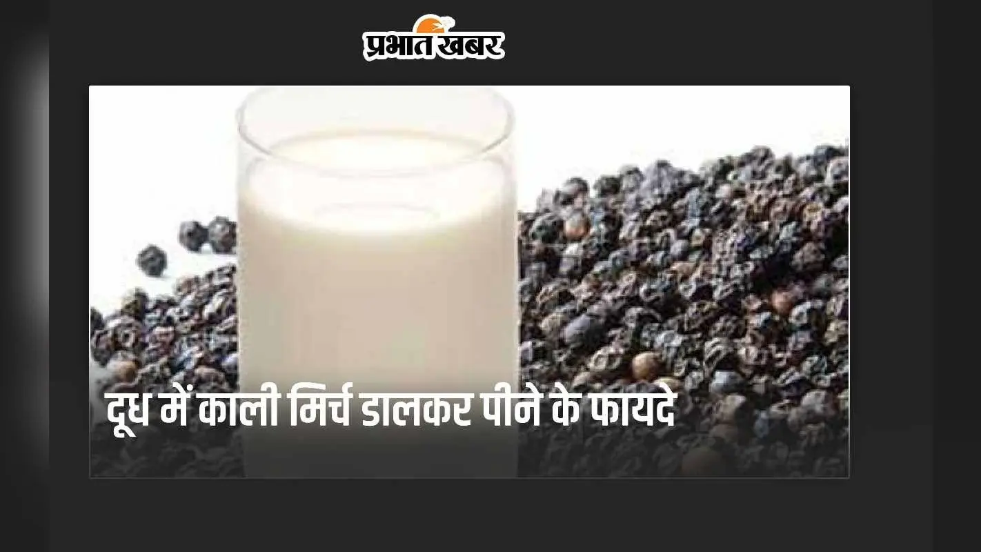 Milk with Black Pepper: दूध में काली मिर्च डालकर पीने के 5 सबसे बड़े फायदे जान हो जाएंगे दंग