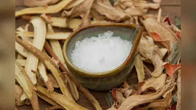 Negative Energy: कैसे पहचाने घर में है नकारात्मक ऊर्जा, इस उपाय से होगा समाधान