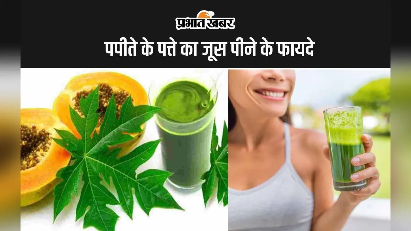 Papaya Leaf Juice Benefits: ये हैं पपीते के पत्ते का जूस पीने के 5 सबसे अद्भुत फायदे