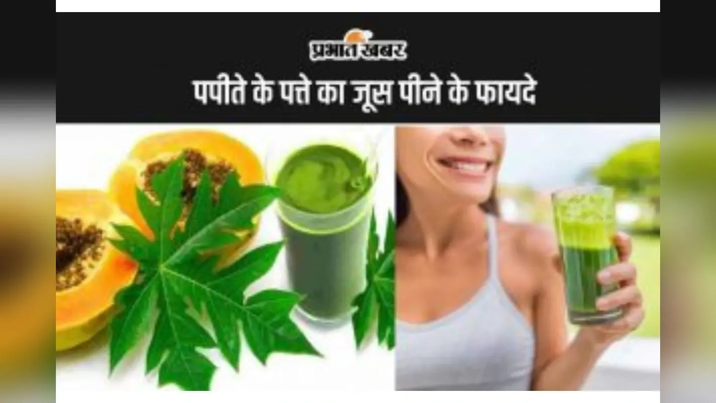 Papaya leaf benefits: पपीते के पत्ते का जूस पीने के फायदे